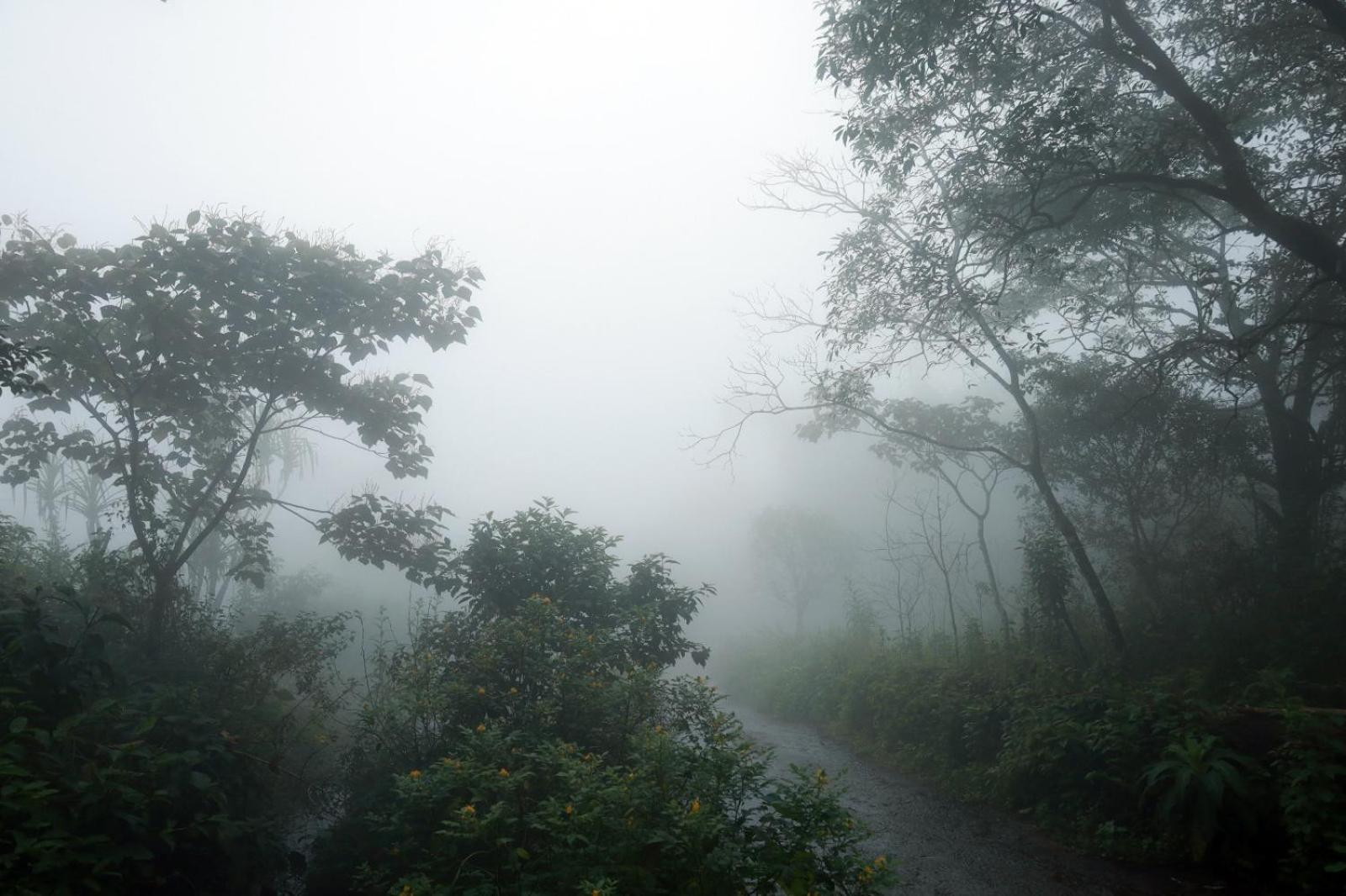 Jia Hill View Rooms Vagamon Exterior photo